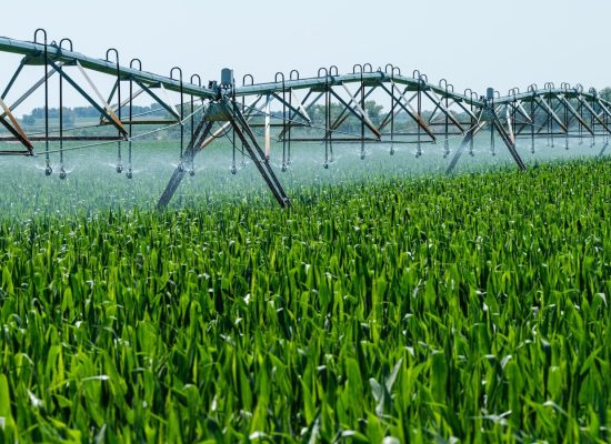 a sprinkler spraying water on a green field