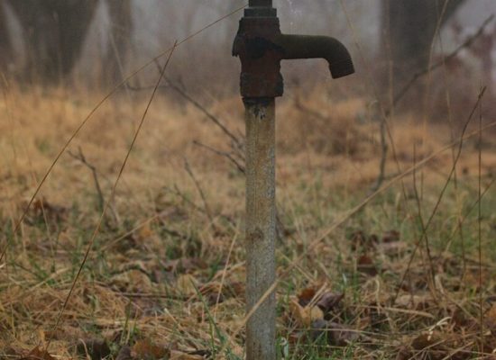 black and gray metal pipe on brown dried leaves