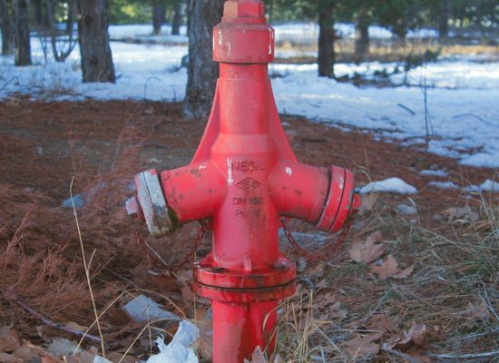 a red fire hydrant sitting in the middle of a forest