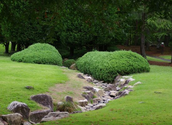 A grassy area with rocks and trees in the background
