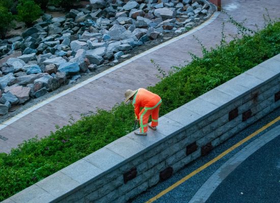City gardener in orange uniform tending to plants on a stone wall in a park.